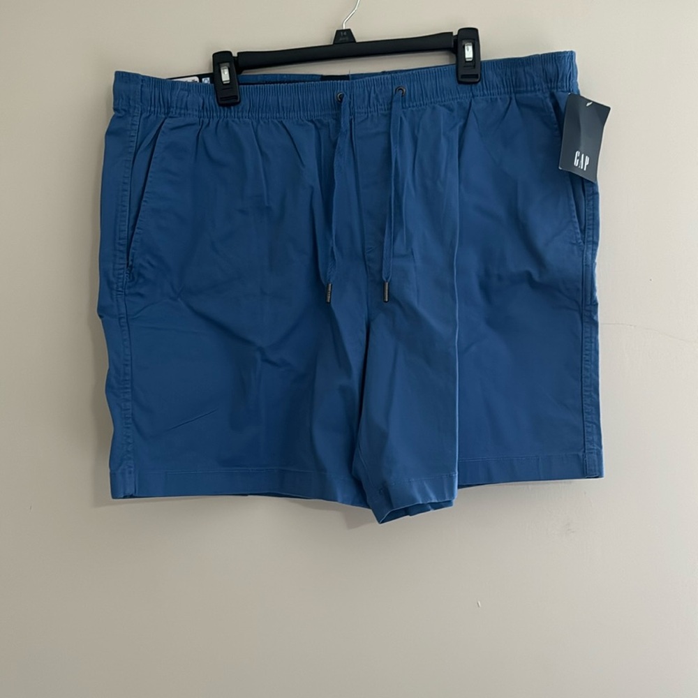 Gap Shorts